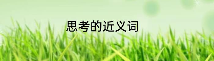 思考的近义词