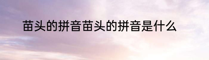 苗头的拼音苗头的拼音是什么