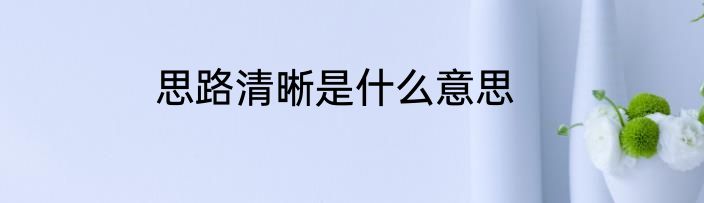 思路清晰是什么意思