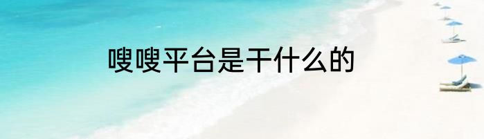 嗖嗖平台是干什么的