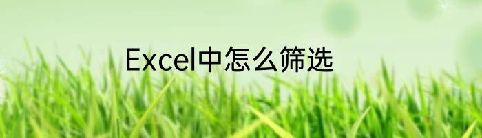 Excel中怎么筛选
