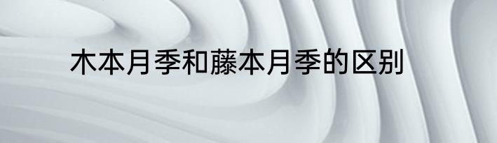 木本月季和藤本月季的区别
