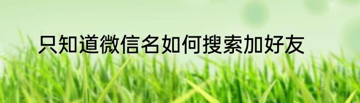 只知道微信名如何搜索加好友