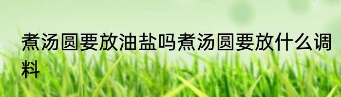煮汤圆要放油盐吗煮汤圆要放什么调料