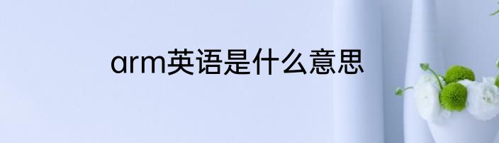 arm英语是什么意思