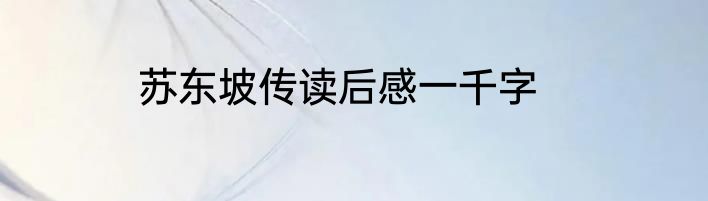 苏东坡传读后感一千字