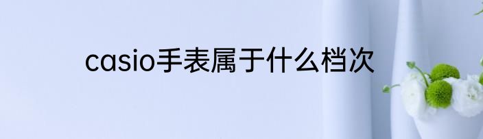 casio手表属于什么档次