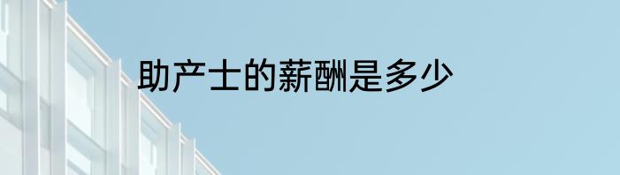 助产士的薪酬是多少