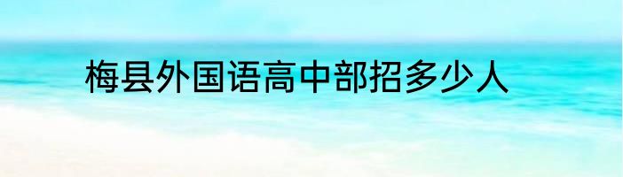 梅县外国语高中部招多少人