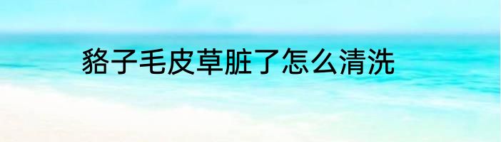 貉子毛皮草脏了怎么清洗
