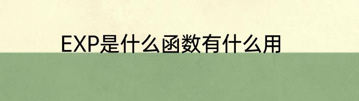 EXP是什么函数有什么用