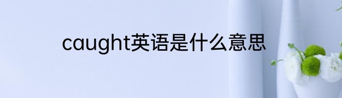 caught英语是什么意思