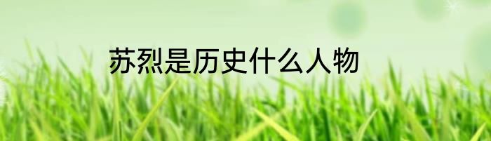 苏烈是历史什么人物