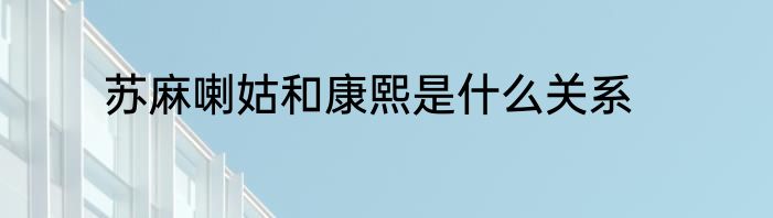 苏麻喇姑和康熙是什么关系