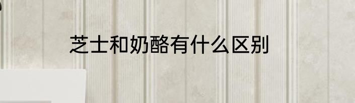 芝士和奶酪有什么区别