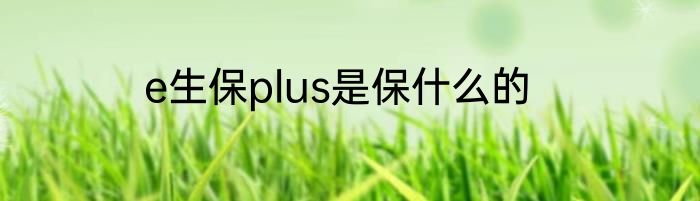 e生保plus是保什么的