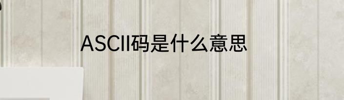 ASCII码是什么意思