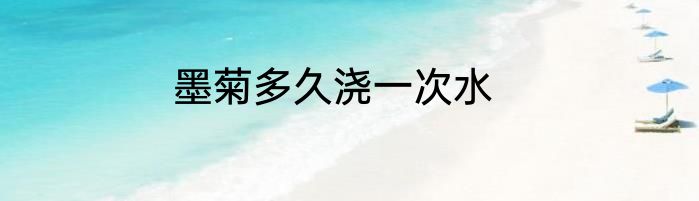 墨菊多久浇一次水