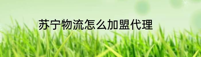 苏宁物流怎么加盟代理