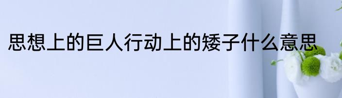 思想上的巨人行动上的矮子什么意思