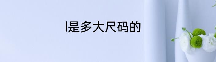 l是多大尺码的