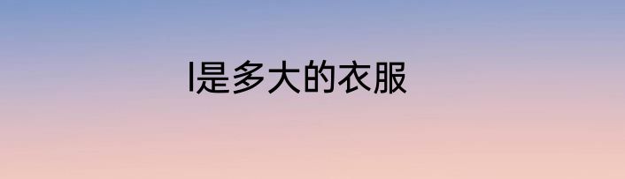 l是多大的衣服