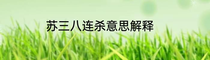 苏三八连杀意思解释