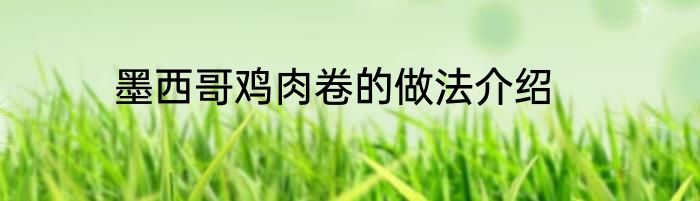 墨西哥鸡肉卷的做法介绍