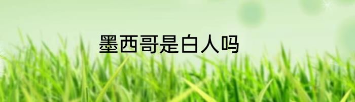 墨西哥是白人吗