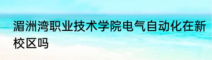 湄洲湾职业技术学院电气自动化在新校区吗
