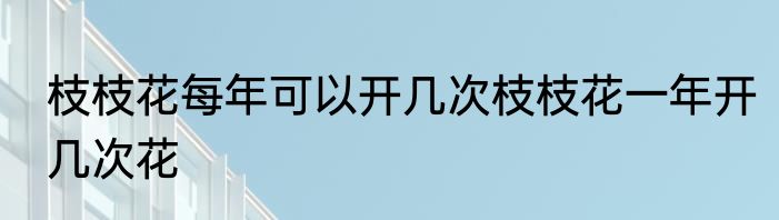 枝枝花每年可以开几次枝枝花一年开几次花