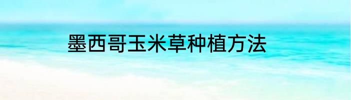 墨西哥玉米草种植方法