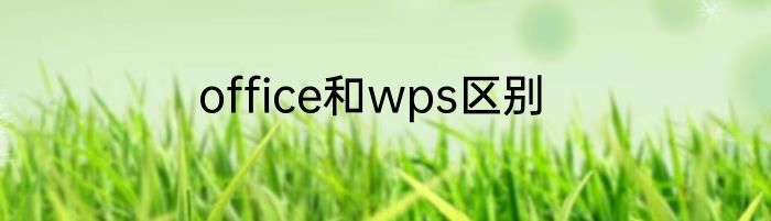office和wps区别