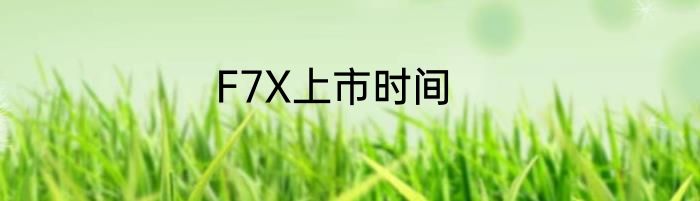 F7X上市时间