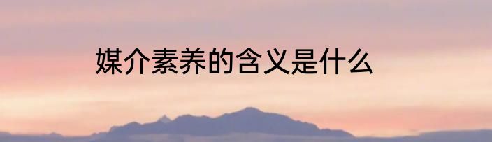 媒介素养的含义是什么