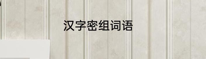 汉字密组词语