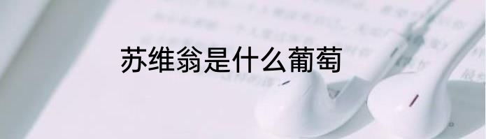 苏维翁是什么葡萄