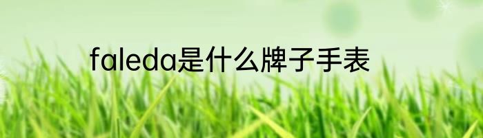 faleda是什么牌子手表