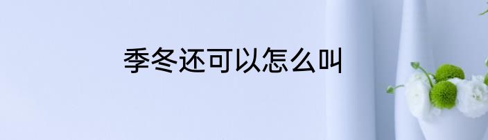 季冬还可以怎么叫