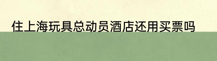 住上海玩具总动员酒店还用买票吗