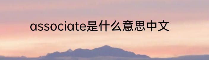 associate是什么意思中文