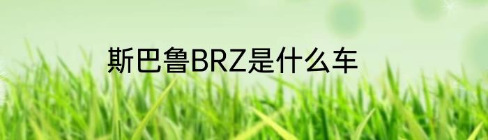 斯巴鲁BRZ是什么车