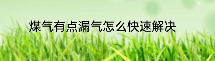煤气有点漏气怎么快速解决