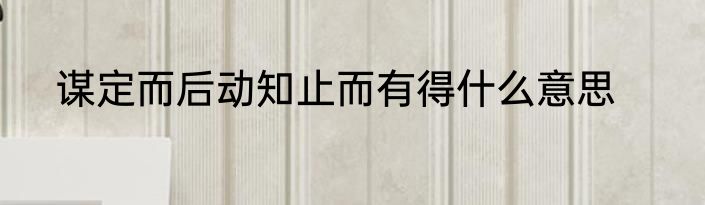 谋定而后动知止而有得什么意思