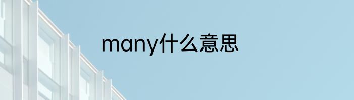 many什么意思