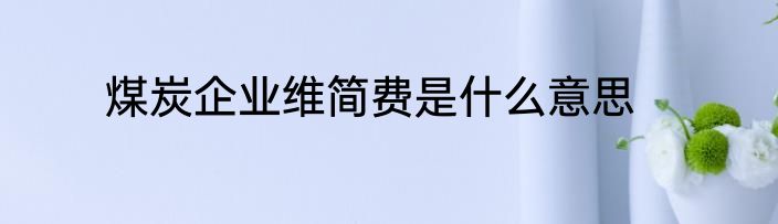 煤炭企业维简费是什么意思