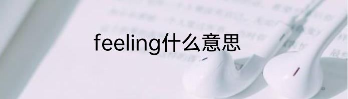 feeling什么意思