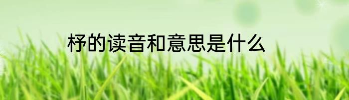 杼的读音和意思是什么