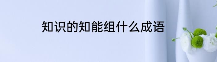 知识的知能组什么成语