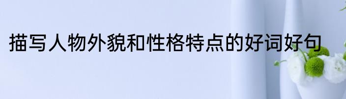 描写人物外貌和性格特点的好词好句